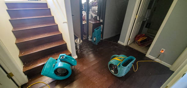 Professional Water damage restoration in Payette, ID