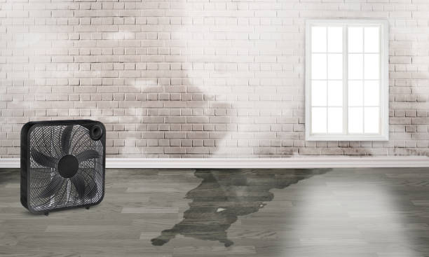 Best Sewage cleanup and water damage restoration  in Payette, ID