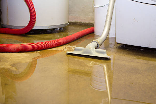 Best Water damage repair service  in Payette, ID