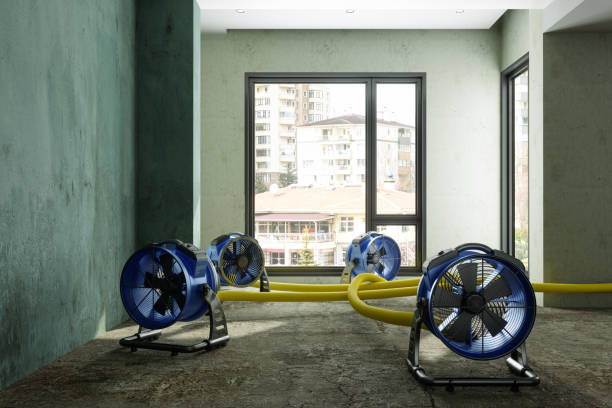 Best Water damage cleanup near me  in Payette, ID